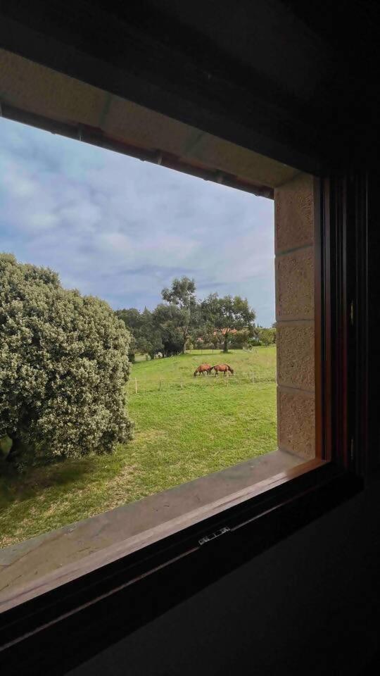 Villa Artegoikoaurdaibai Patrimonio De La Unesco Ibarrangelu Luaran gambar