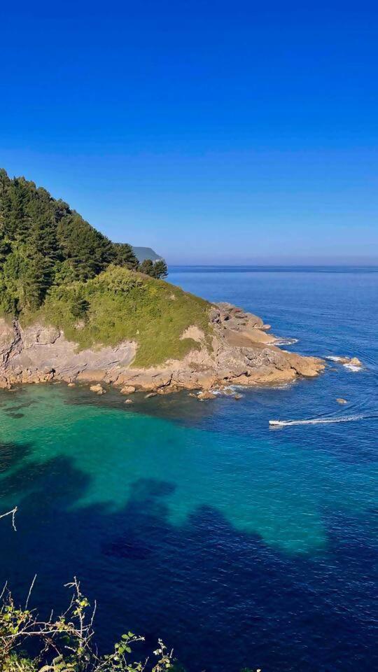 Villa Artegoikoaurdaibai Patrimonio De La Unesco Ibarrangelu Luaran gambar